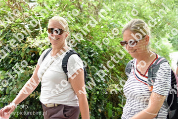 Evenement foto: Utrecht City Walk Serie 393