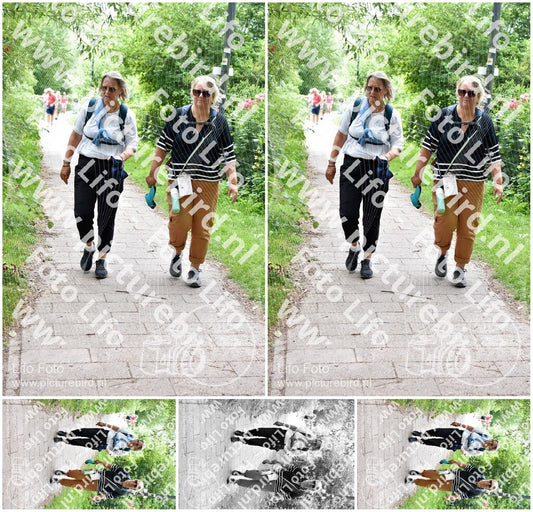Evenement foto: Utrecht City Walk Serie 393