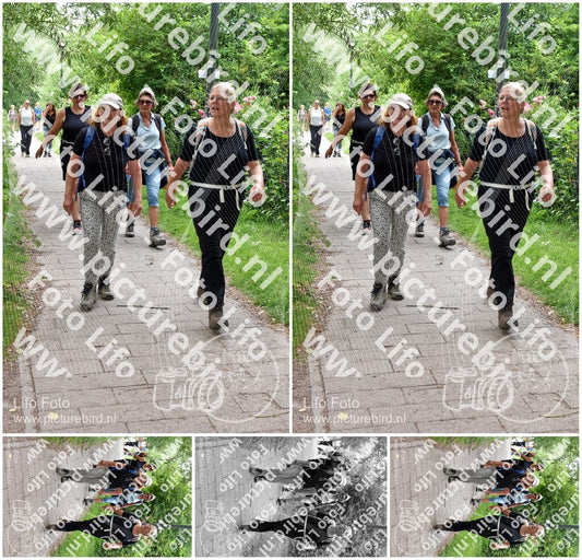 Evenement foto: Utrecht City Walk Serie 393