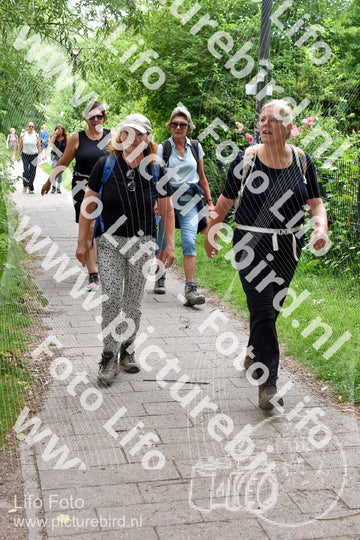 Evenement foto: Utrecht City Walk Serie 393