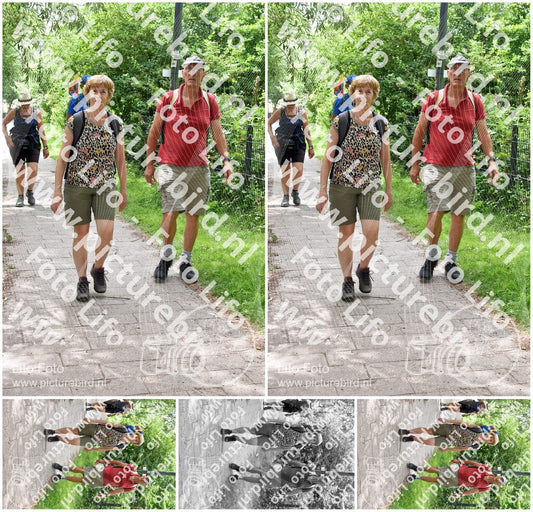 Evenement foto: Utrecht City Walk Serie 393