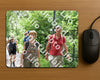 Evenement foto: Utrecht City Walk Serie 393