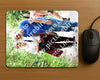 Evenement foto: Utrecht City Walk Serie 394