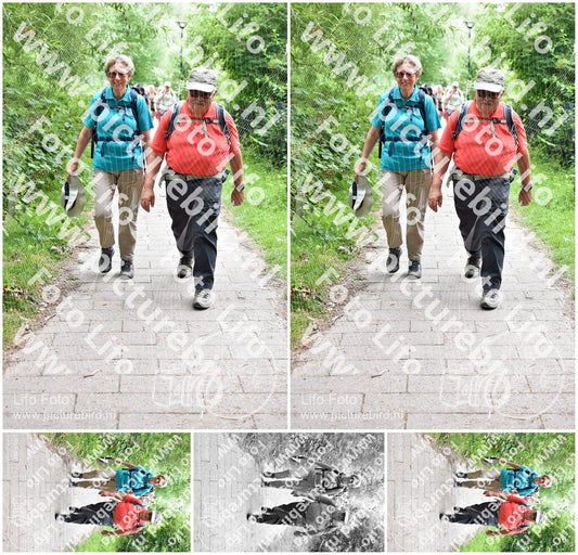 Evenement foto: Utrecht City Walk Serie 394