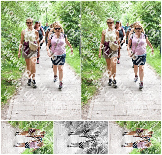 Evenement foto: Utrecht City Walk Serie 395