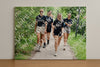 Evenement foto: Utrecht City Walk Serie 396