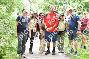 Evenement foto: Utrecht City Walk Serie 397