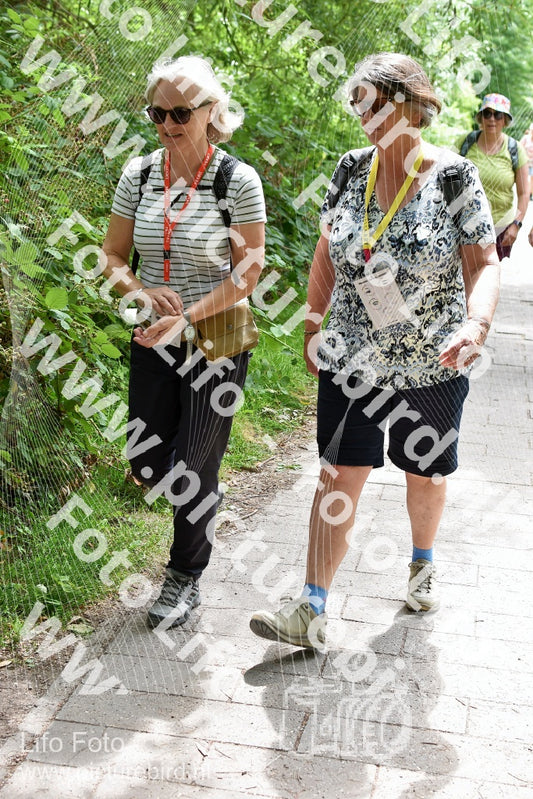 Evenement foto: Utrecht City Walk Serie 400
