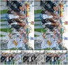 Evenement foto: Serie 601