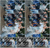 Evenement foto: Serie 601
