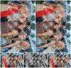 Evenement foto: Serie 602
