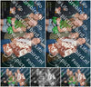 Evenement foto: Serie 603