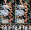 Evenement foto: Serie 605