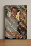 Evenement foto: Serie 606