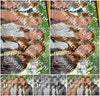 Evenement foto: Serie 607