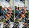 Evenement foto: Serie 608
