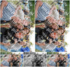 Evenement foto: Serie 609