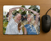 Evenement foto: Serie 609