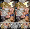 Evenement foto: Serie 2122