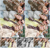 Evenement foto: Serie 383