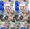 Evenement foto: Serie 383