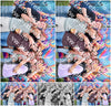 Evenement foto: Serie 384