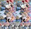 Evenement foto: Serie 384