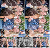Evenement foto: Serie 385