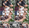 Evenement foto: Serie 385