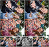 Evenement foto: Serie 385