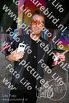 Evenement foto: Serie 386