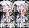 Evenement foto: Serie 387