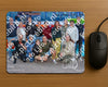 Evenement foto: Serie 729