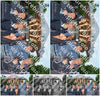 Evenement foto: Serie 729