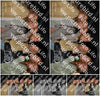 Evenement foto: Heiloo Serie 8