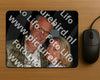 Evenement foto: Heiloo Serie 10