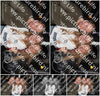 Evenement foto: Heiloo Serie 12