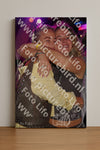 Evenement foto: Heiloo Serie 12