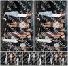 Evenement foto: Heiloo Serie 14