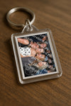 Evenement foto: Heiloo Serie 14