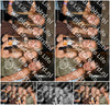 Evenement foto: Heiloo Serie 15