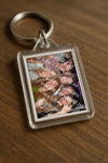 Evenement foto: Heiloo Serie 15