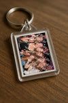 Evenement foto: Heiloo Serie 15