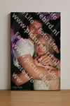 Evenement foto: Heiloo Serie 15