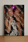 Evenement foto: Heiloo Serie 17