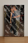 Evenement foto: Heiloo Serie 21