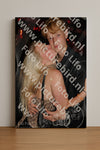 Evenement foto: Heiloo Serie 22