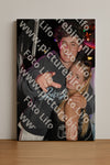 Evenement foto: Heiloo Serie 22
