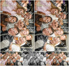 Evenement foto: Heiloo Serie 25
