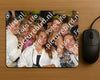 Evenement foto: Heiloo Serie 26